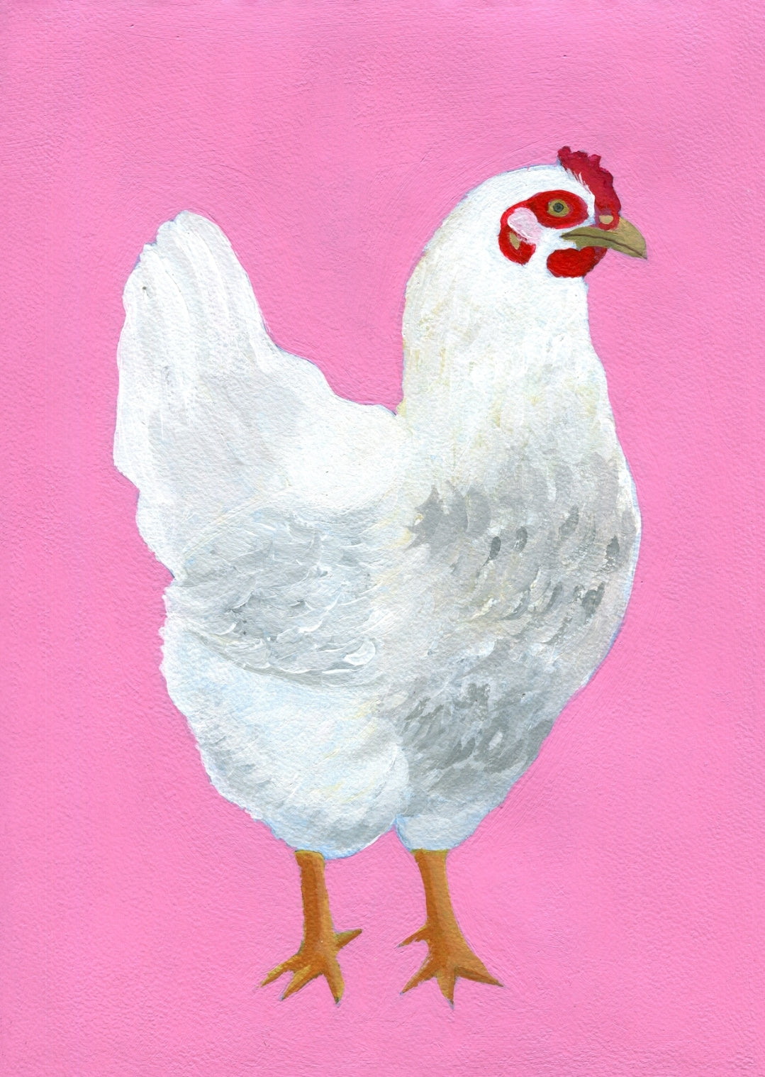 White chicken on a pink background