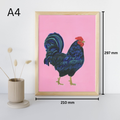 rooster 2