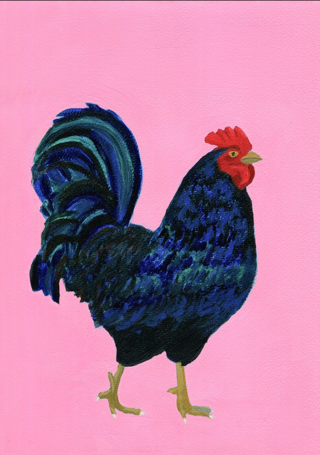 Rooster illustration on a pink background